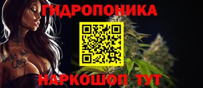 дмт Краснодар