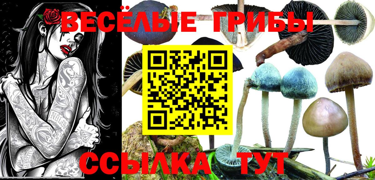 Галлюциногенные грибы ЛСД  Вход с VPN  купить  сайты  Красногорск 